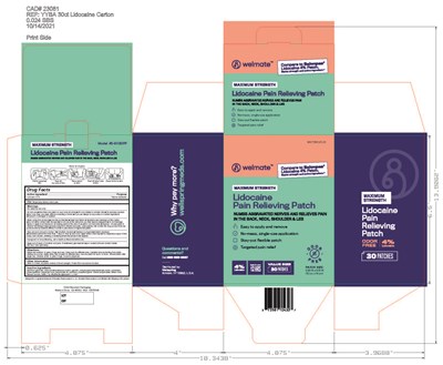 Label (92 45002 1021 Pkg Lidocaine 30ct)